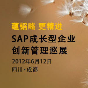 SAP 成长型企业创新管理巡展 成都站
