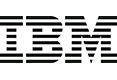 IBM 制造业信息化管理人沙龙 