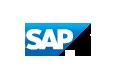 SAP“2010成长型企业提升管理  优化运营”高峰论坛